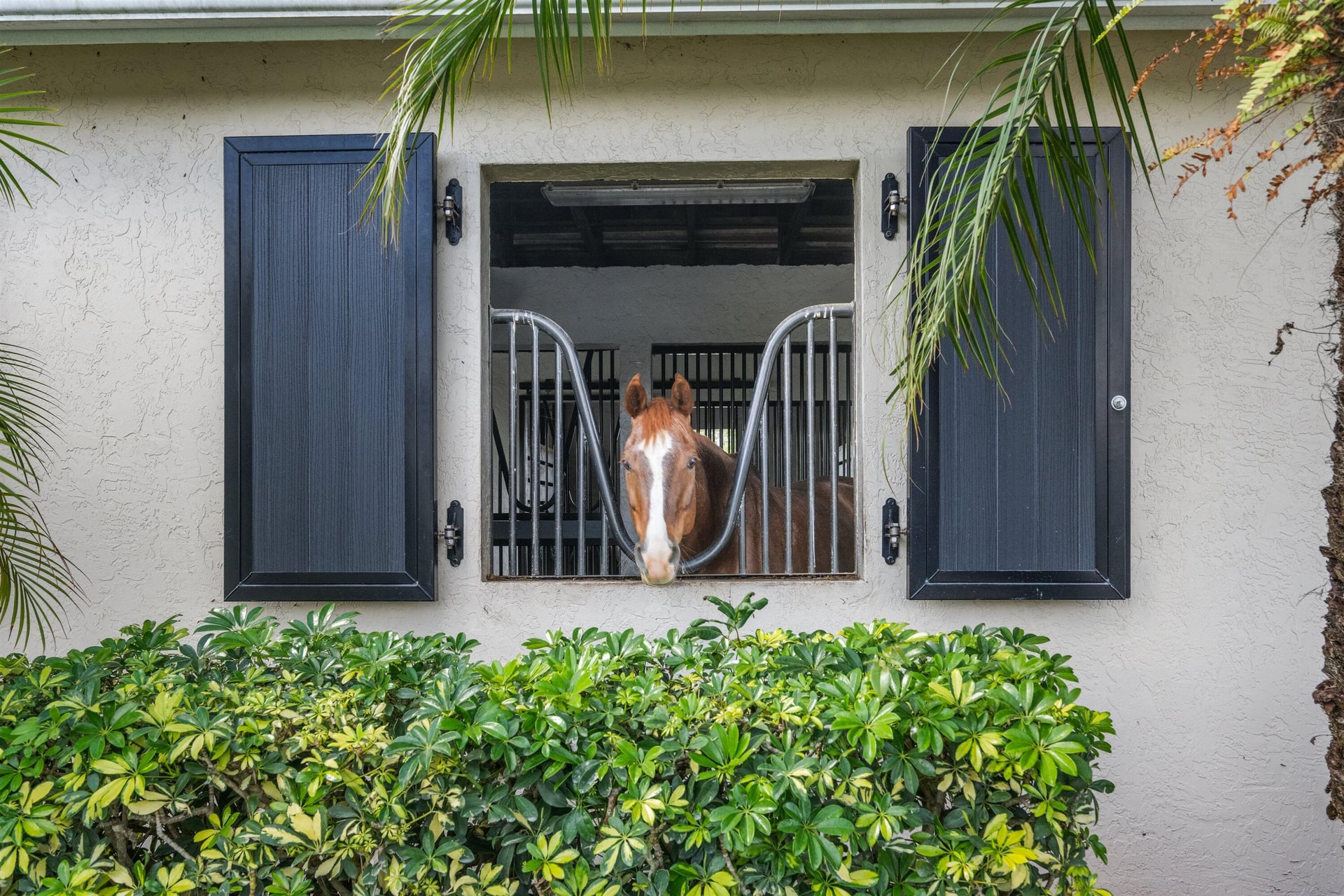 Palm Beach Point Residence photo 62