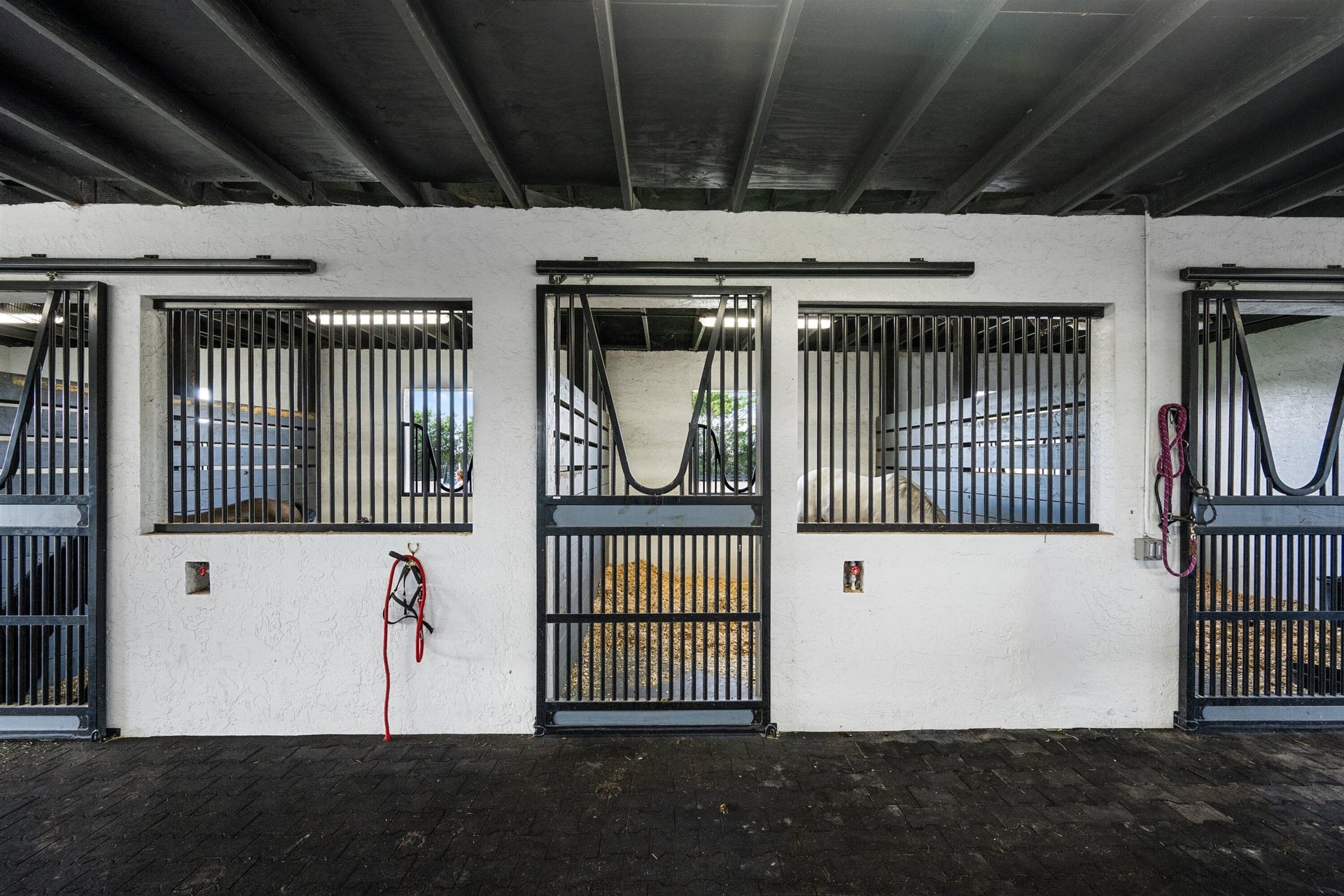 Palm Beach Point Residence photo 65
