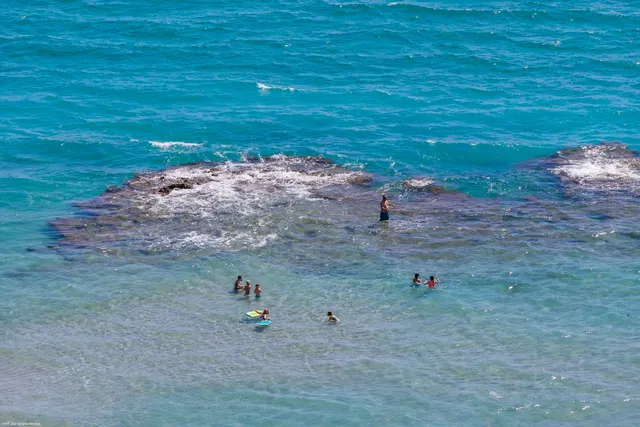 Renaissance on the Ocean Unit 1450 photo 104