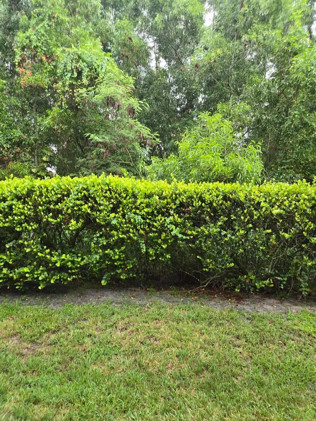 Residence photo 11