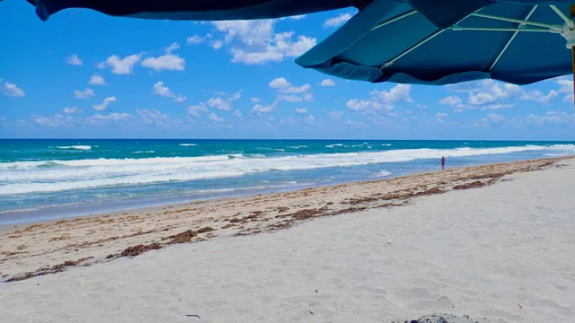 Sea Ranch Club of Boca Unit D-1608 photo 56