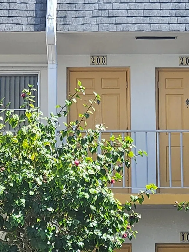 Unit 208 photo 30