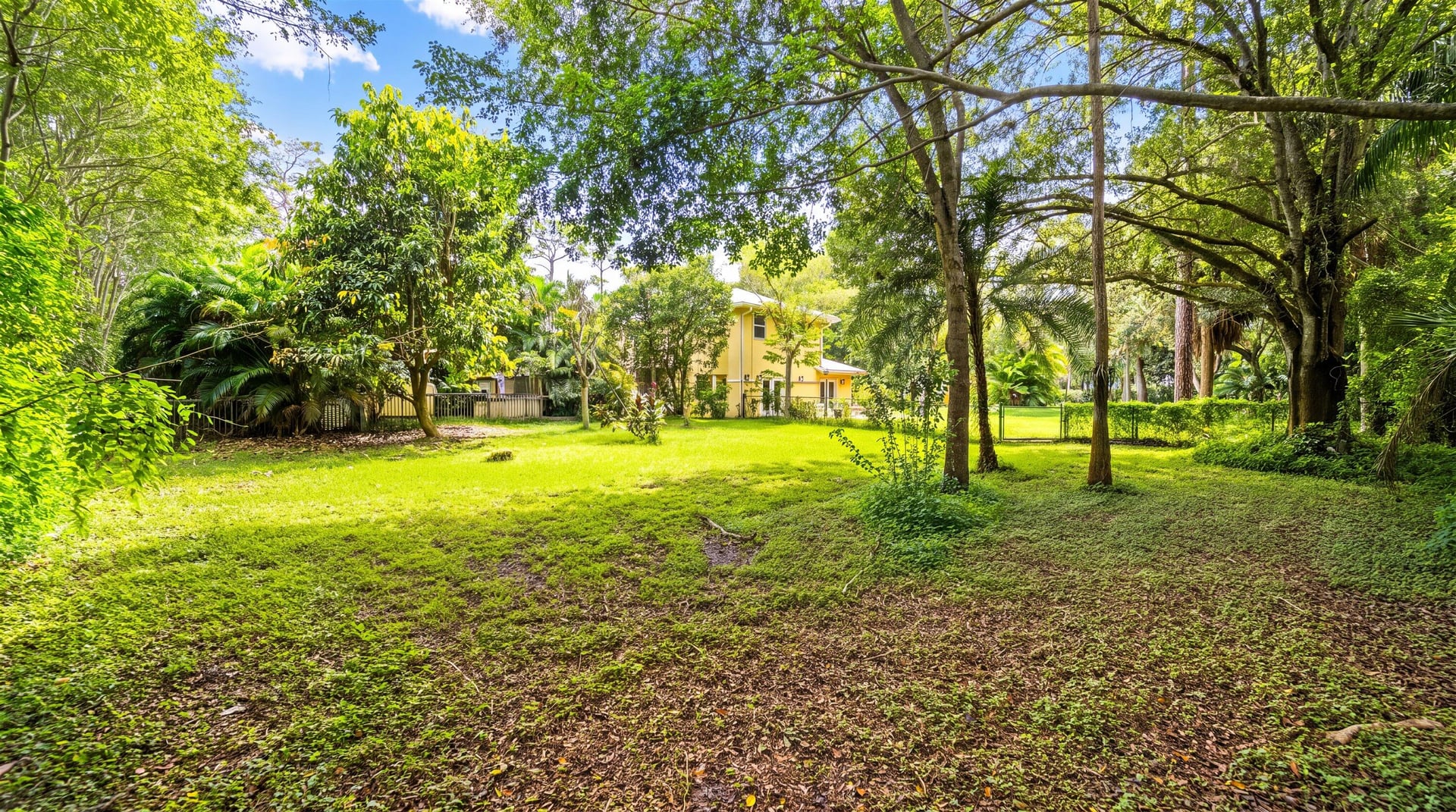 Paddock Park 1 Residence photo 69