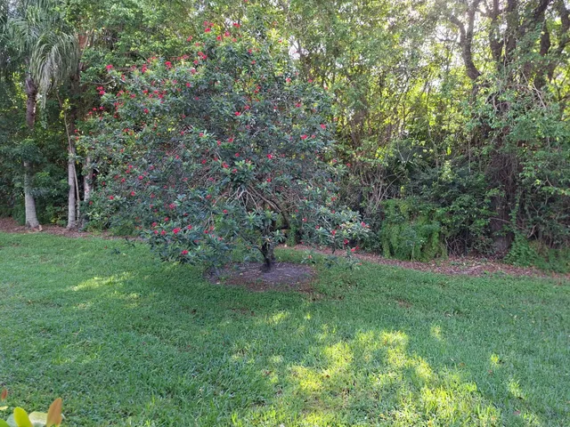 Residence photo 39