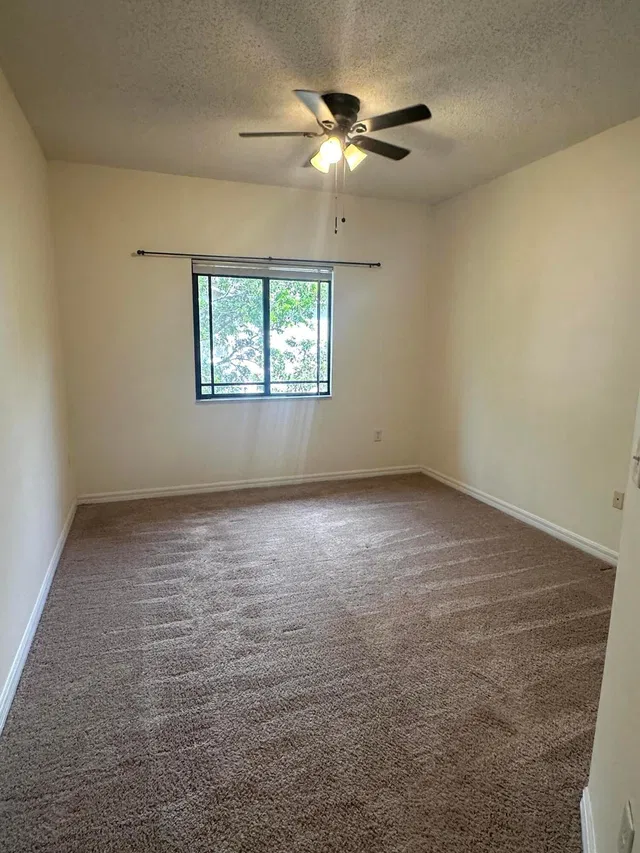 Unit 303 photo 23