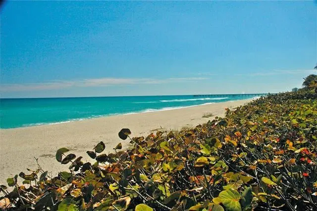 New Haven at Abacoa Residence photo 44