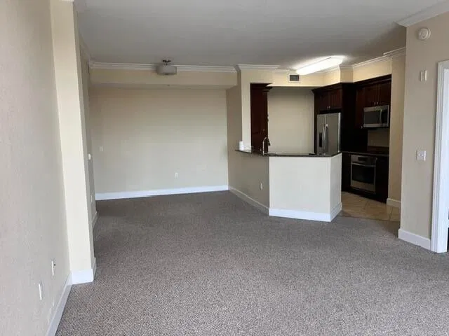 Renaissance Commons I Unit 2507 photo 13