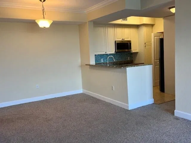 Renaissance Commons I Unit 2507 photo 23