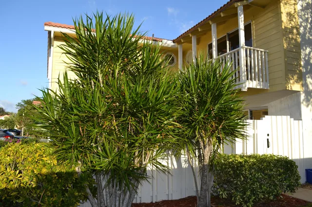 Residence photo 3