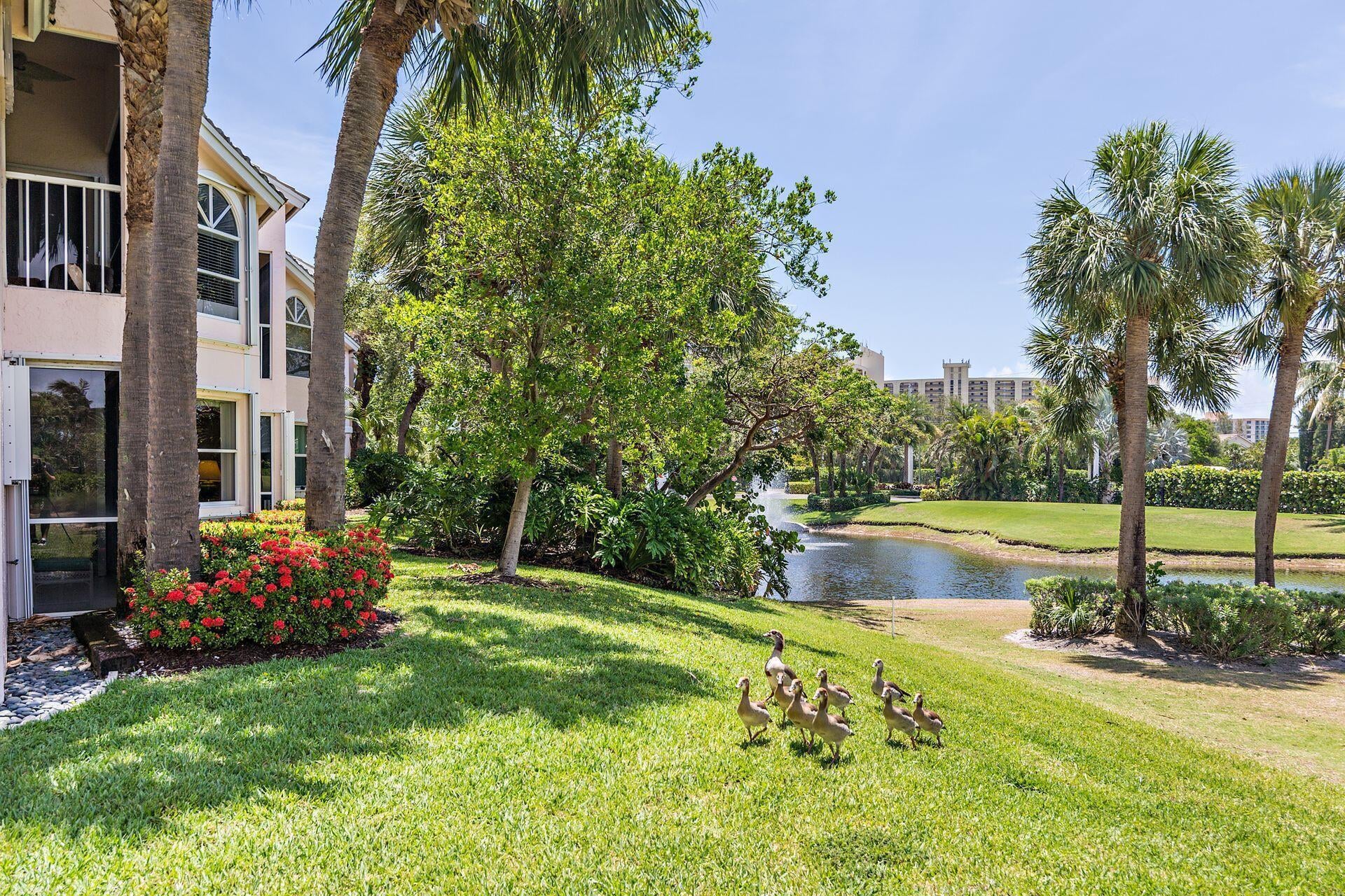  Residence photo 29