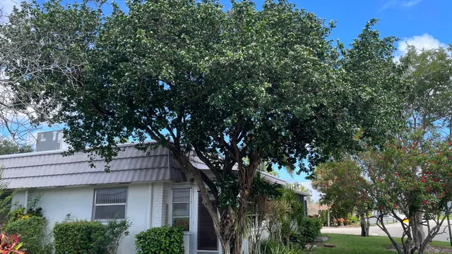 Unit 166 photo 19