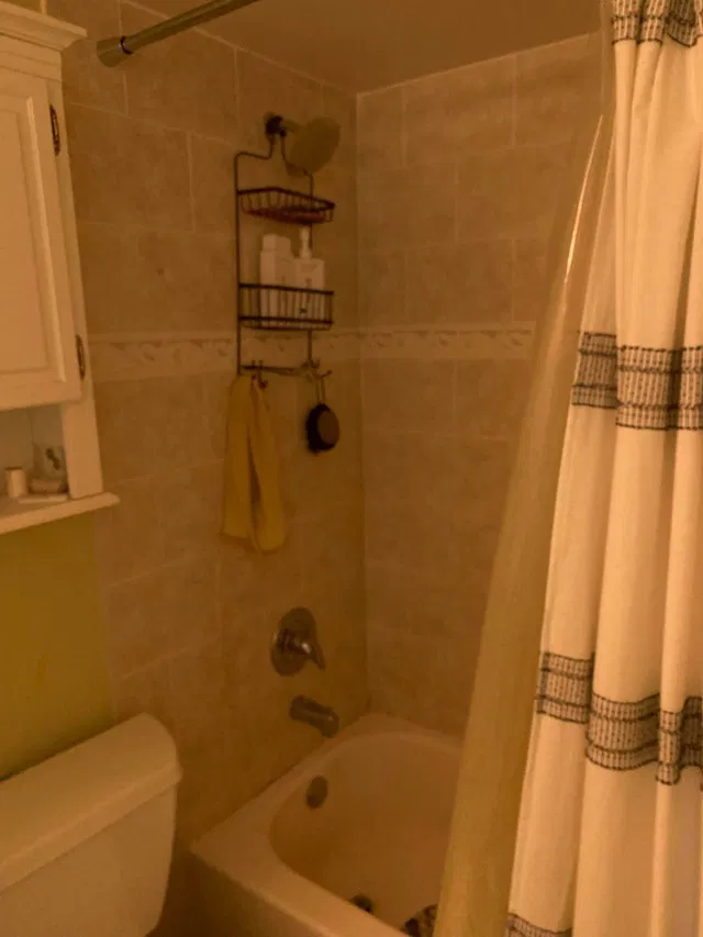  Unit 4311 photo 20