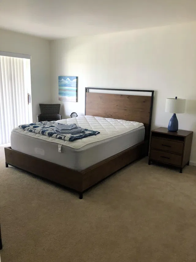  Unit 202 photo 16
