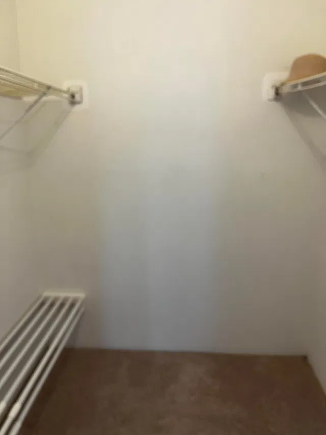 Unit 203 photo 17