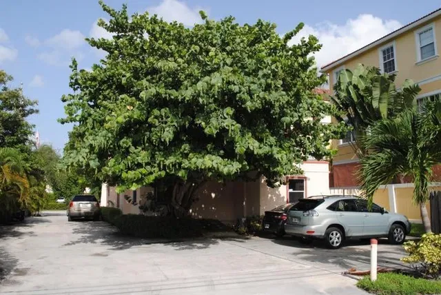 Downtown Delray Beach Residence photo 10