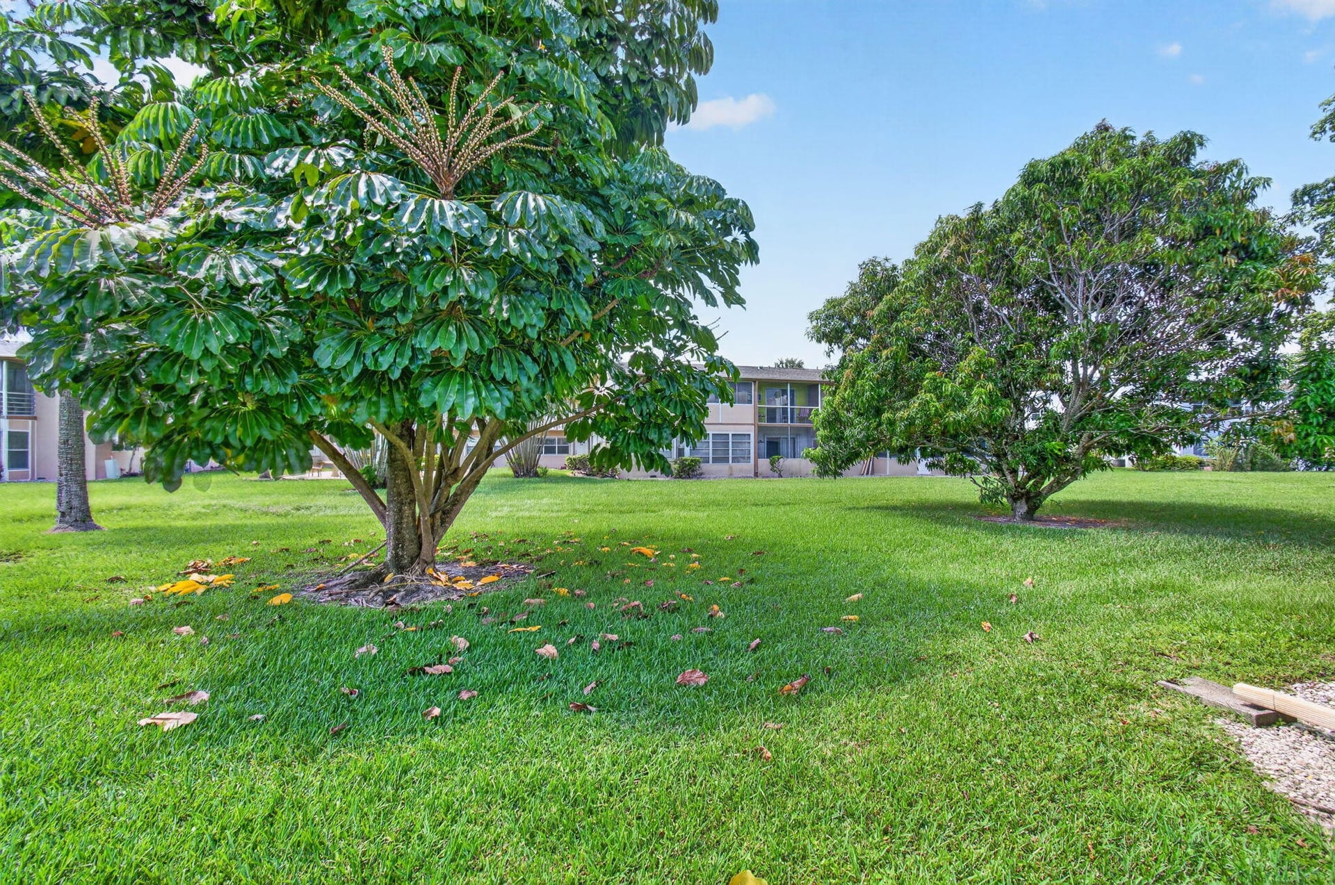 Residence photo 57