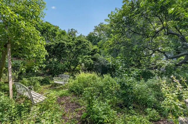 Jupiter River Estates Residence photo 33
