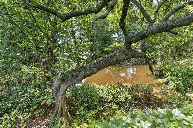 Jupiter River Estates Residence photo 43