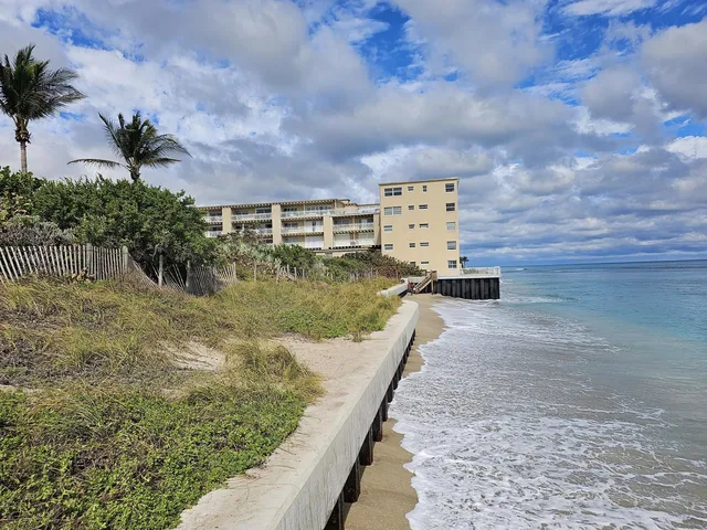 South Palm Beach Unit 309 photo 43