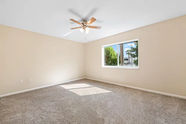  Unit 206 photo 16