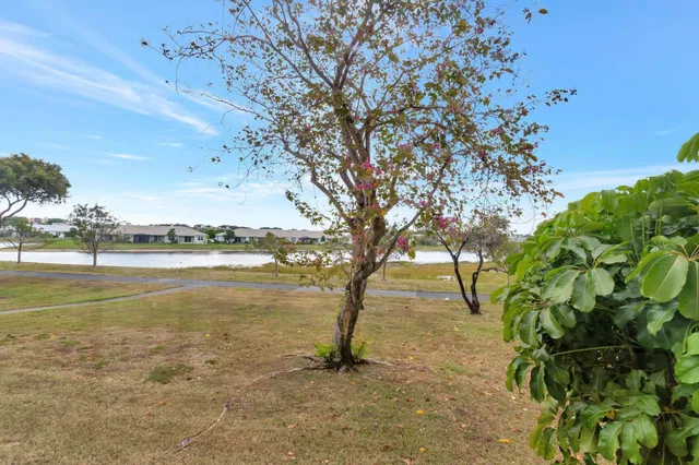 Unit 202 photo 24