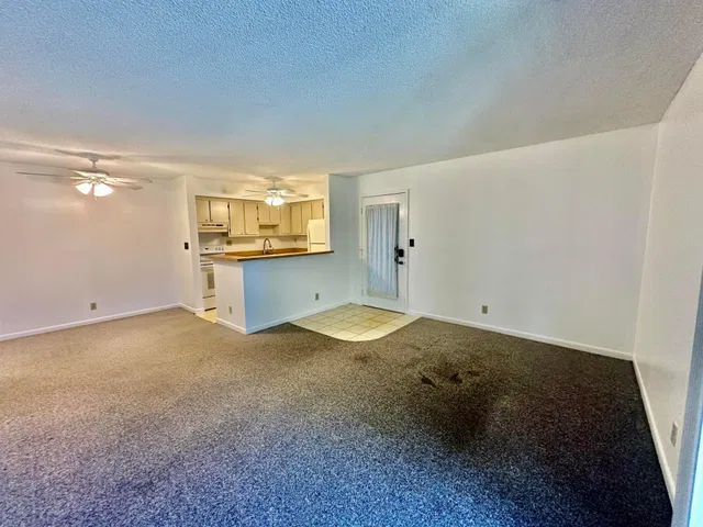 Unit 101 photo 14