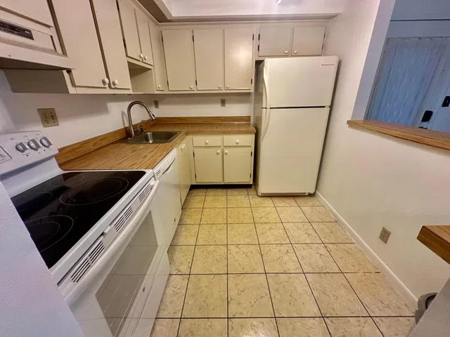 Unit 101 photo 18