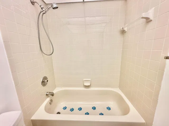 Unit 101 photo 22