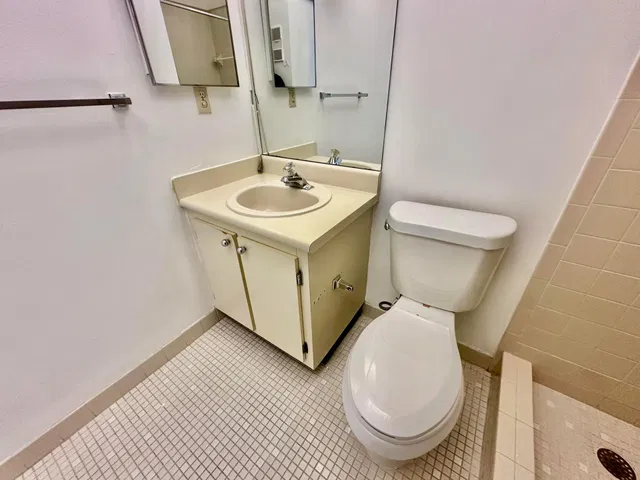 Unit 101 photo 32