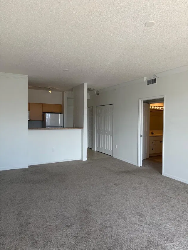 The Montecito Unit 407 photo 7
