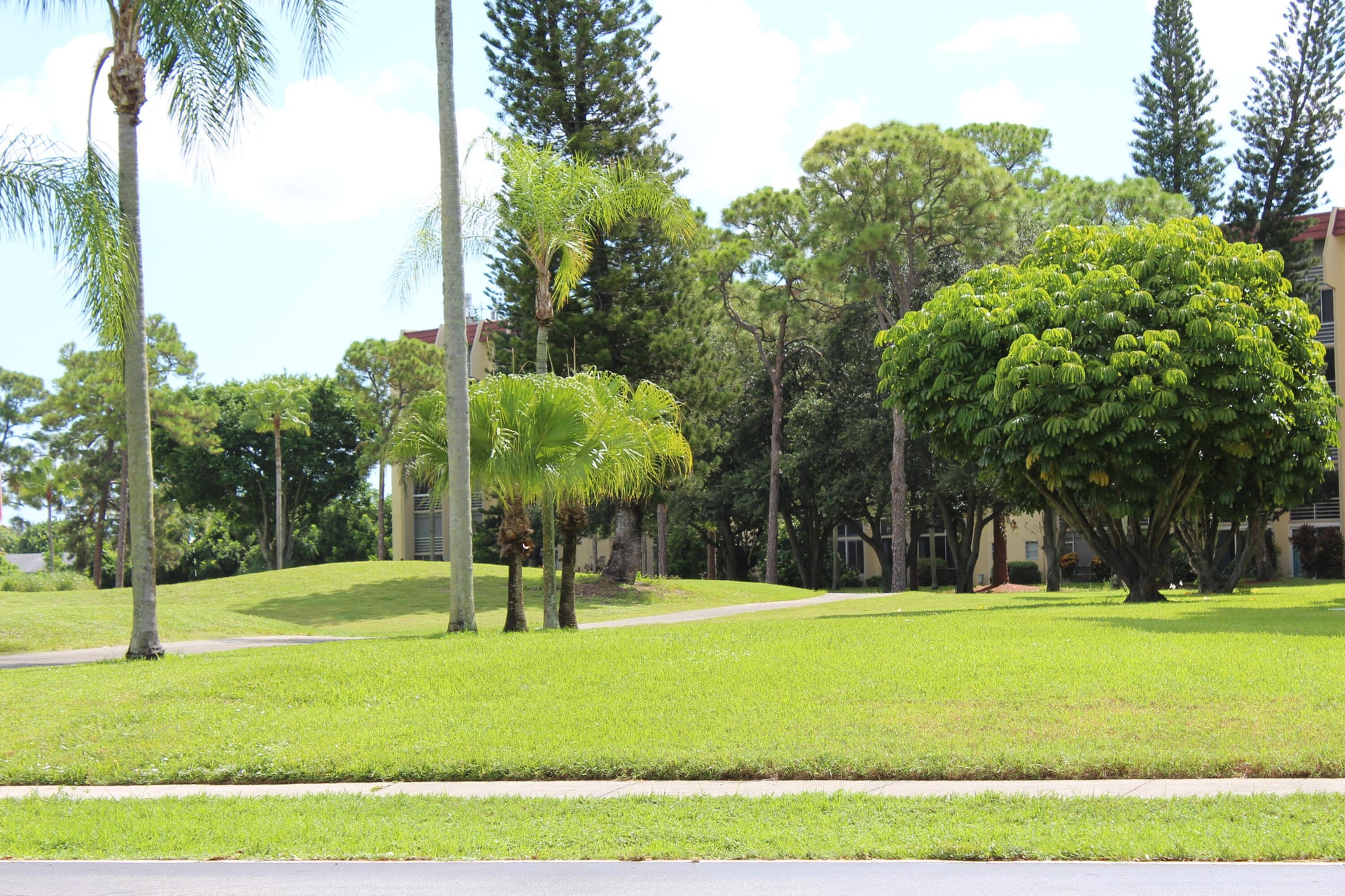 Unit 203 photo 23