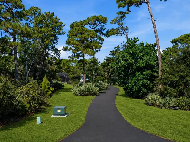 Rocky Point Residence photo 3