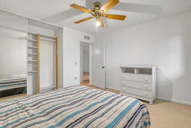 Unit 203 photo 17