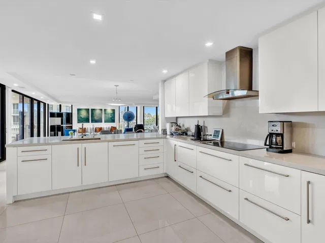 The Meridian Unit 108S photo 6