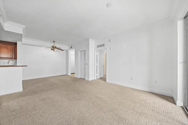 Renaissance Commons I Unit 2421 photo 10