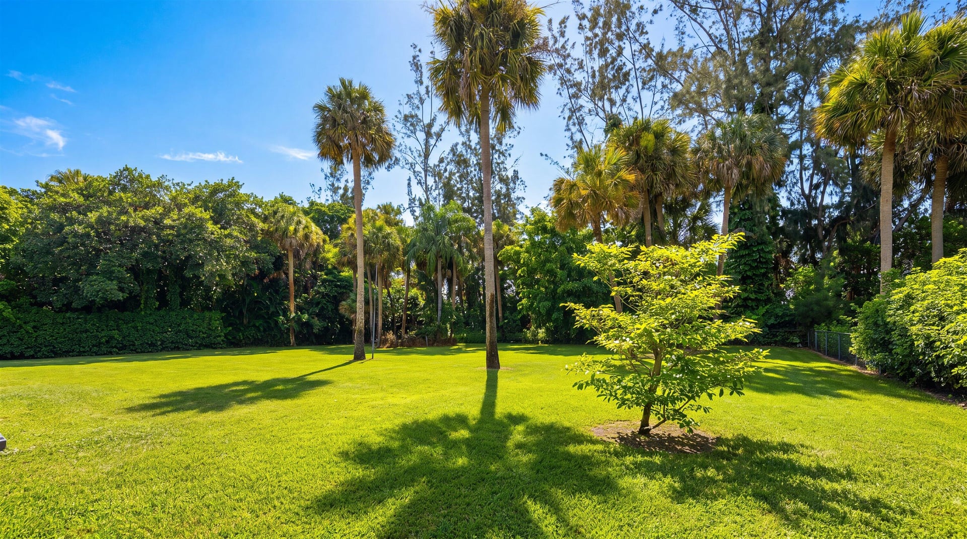 Pinewood Residence photo 62