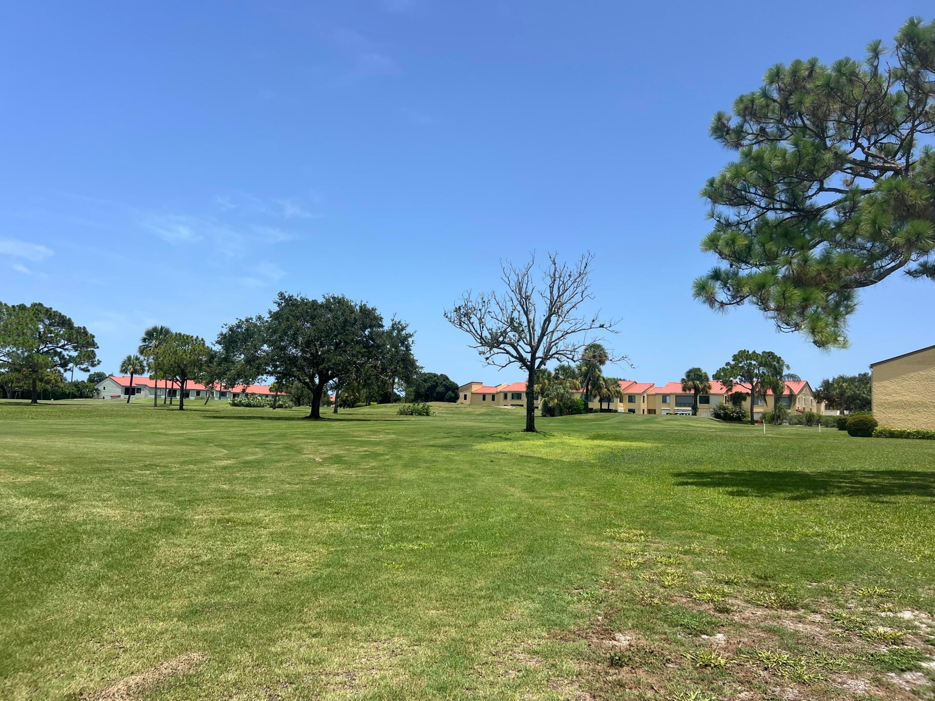 Rocky Point Unit 102 photo 26
