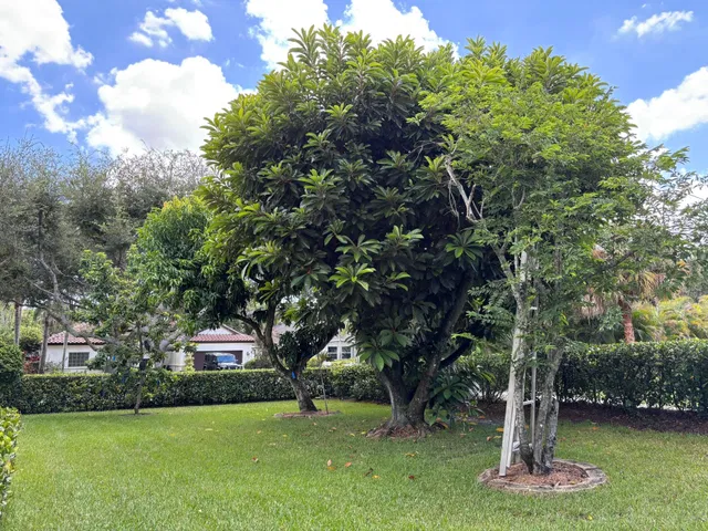 Residence photo 5