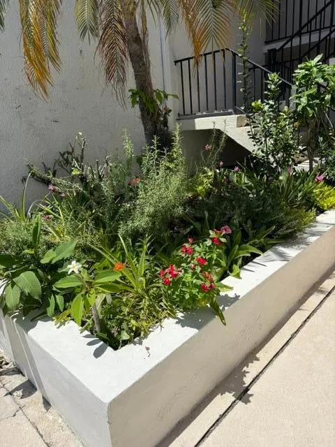 Unit 103 photo 13