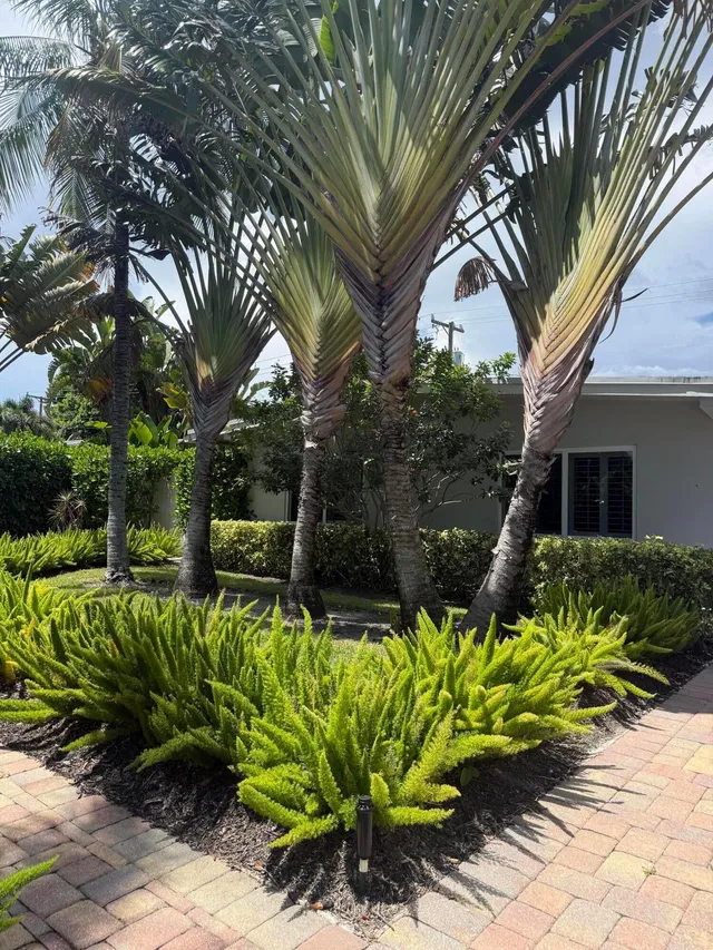 Residence photo 2