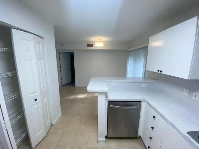  Unit 106 photo 4