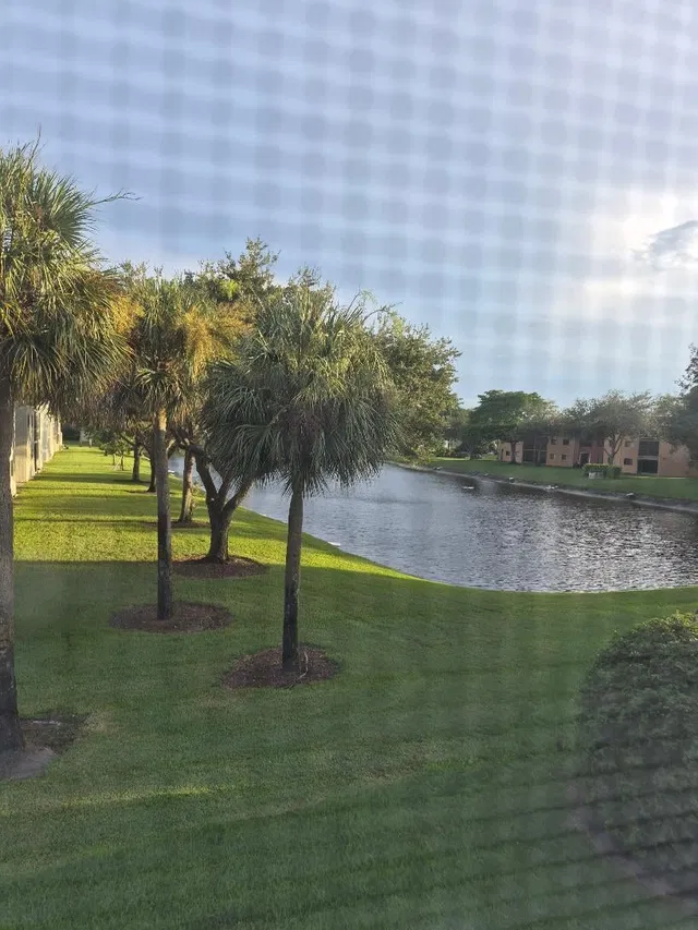  Unit 206 photo 12