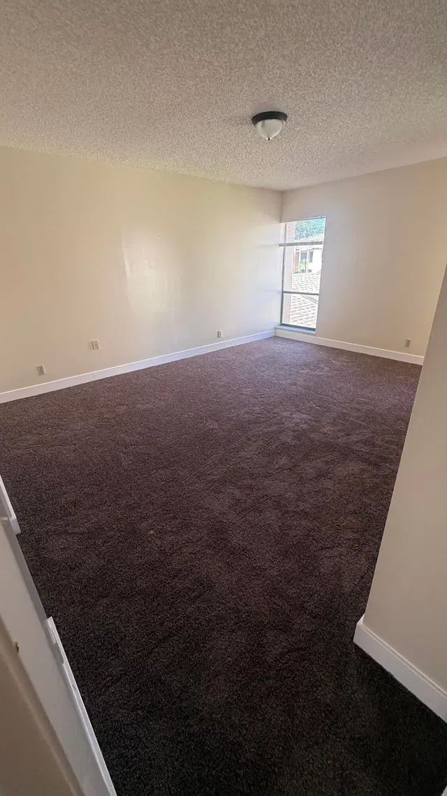 Unit 206 photo 21