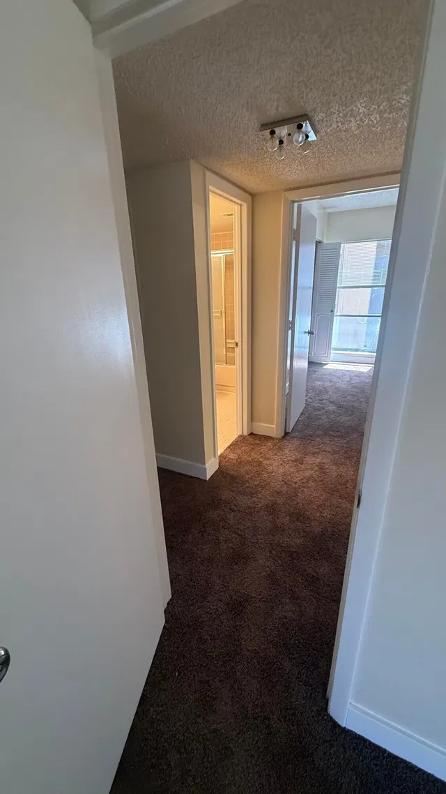 Unit 206 photo 27