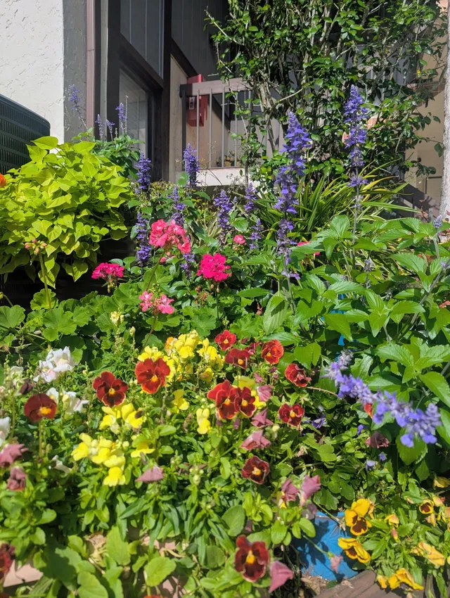 Unit 206 photo 5
