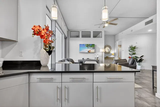 The Meridian Unit 309 photo 14