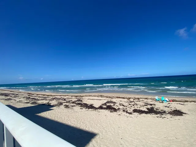 The Patrician of Palm Beach Residence photo 39