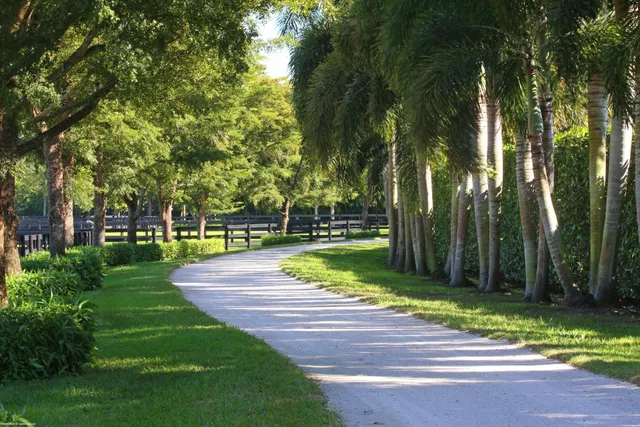 Palm Beach Point Residence photo 11