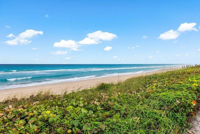 South Palm Beach Unit 304 photo 22