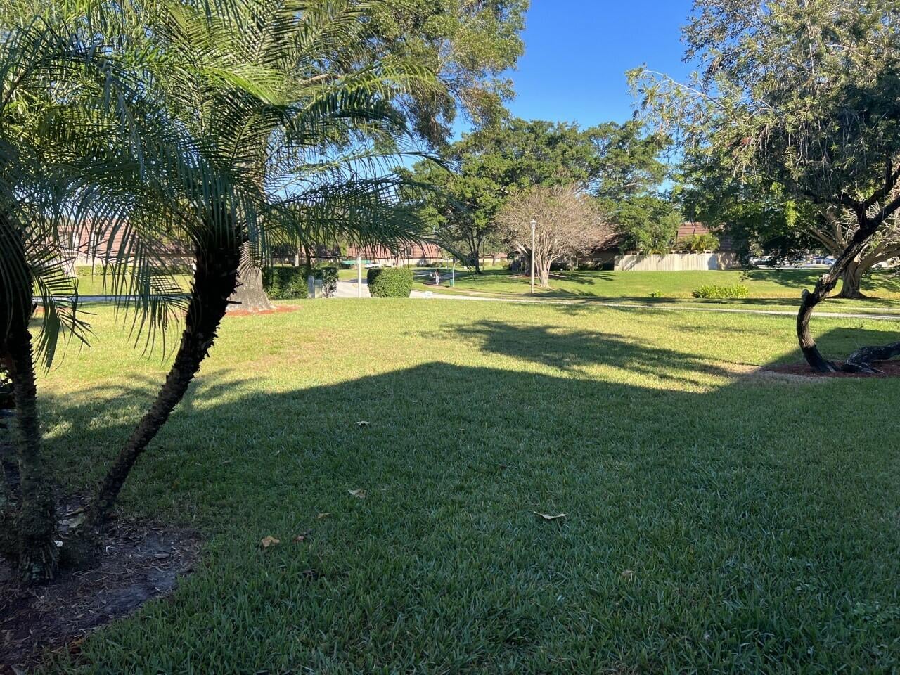 Residence photo 6